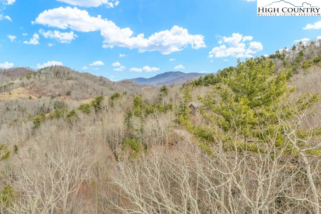 Image number 9 for the current listing