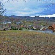 Image number 3 for the current listing