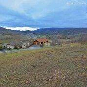 Image number 4 for the current listing