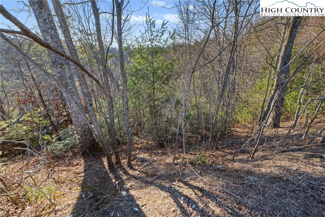 Image number 21 for the current listing