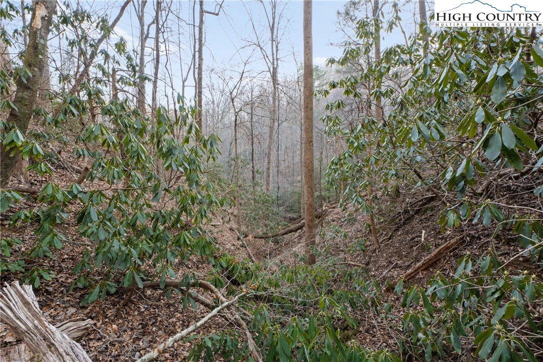 Image number 14 for the current listing