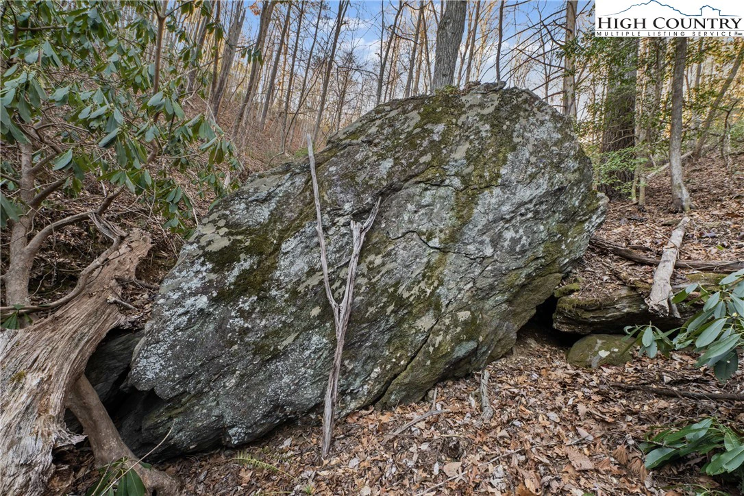 Image number 11 for the current listing