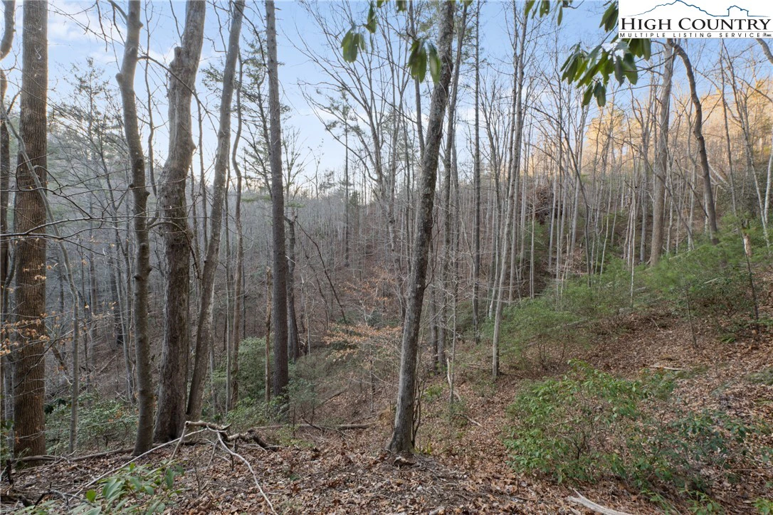 Image number 9 for the current listing