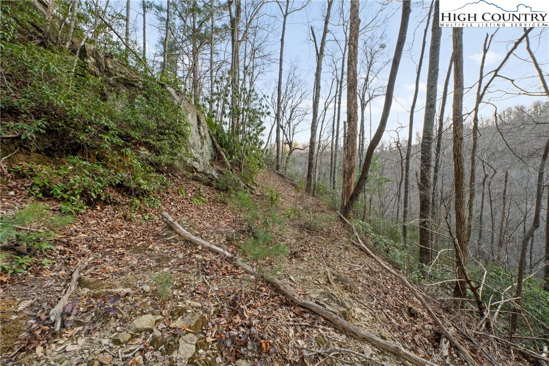 Image number 8 for the current listing