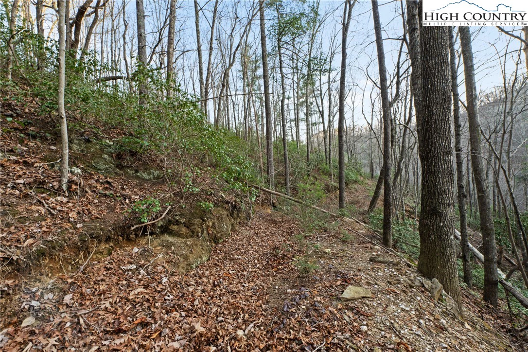 Image number 7 for the current listing