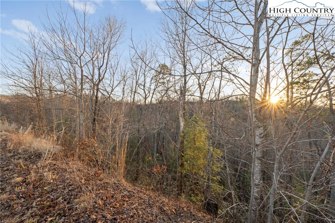 Image number 1 for the current listing