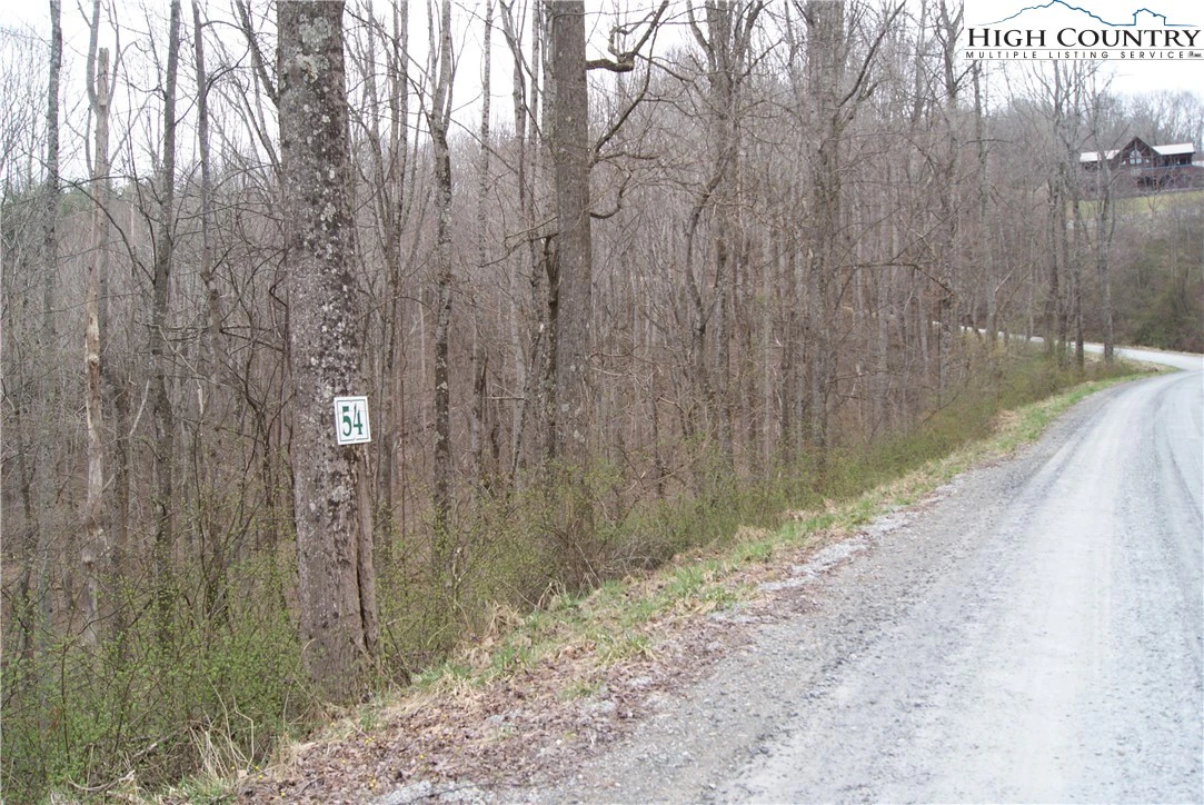 Image number 1 for the current listing
