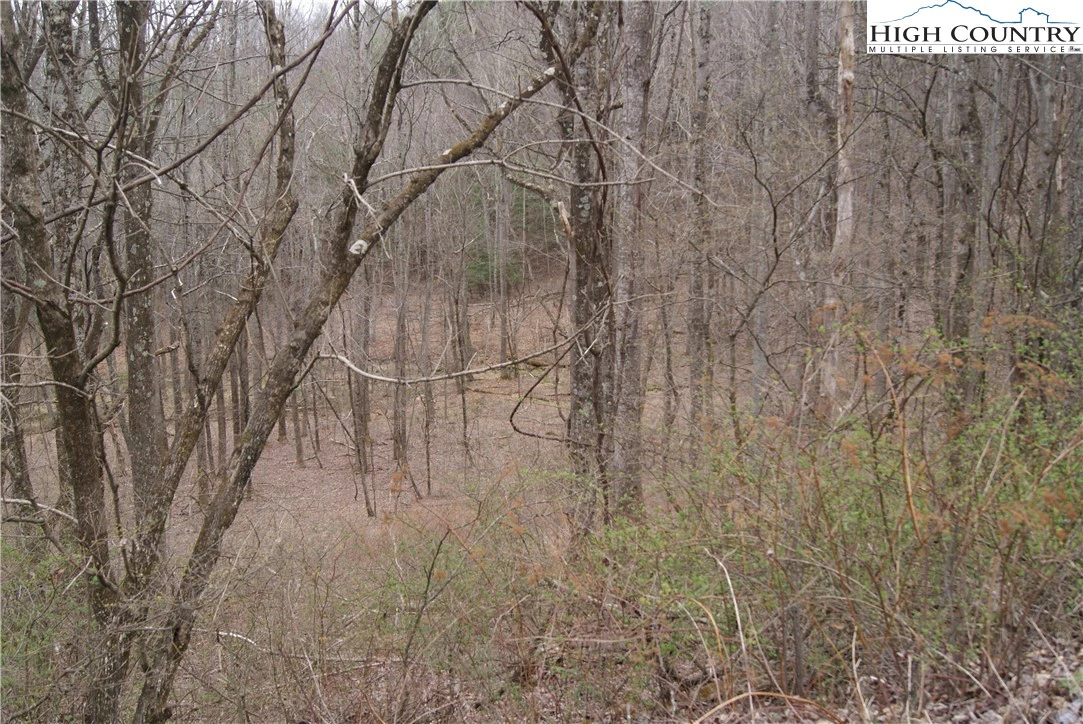 Image number 3 for the current listing