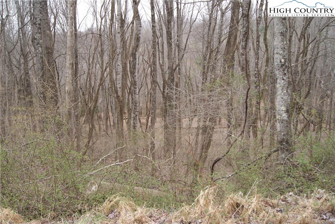 Image number 4 for the current listing