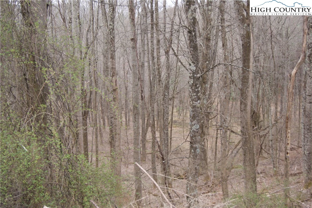 Image number 5 for the current listing