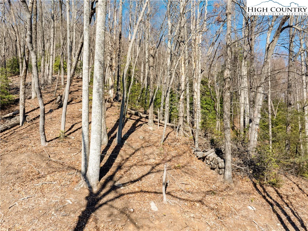 Image number 14 for the current listing
