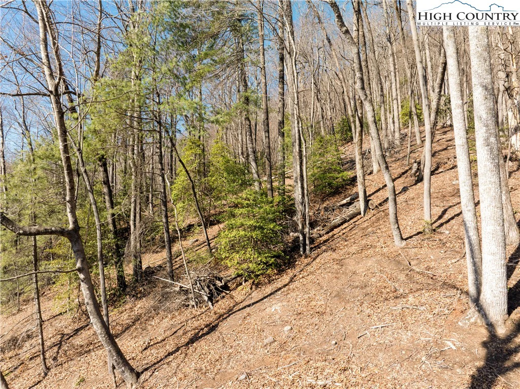 Image number 13 for the current listing