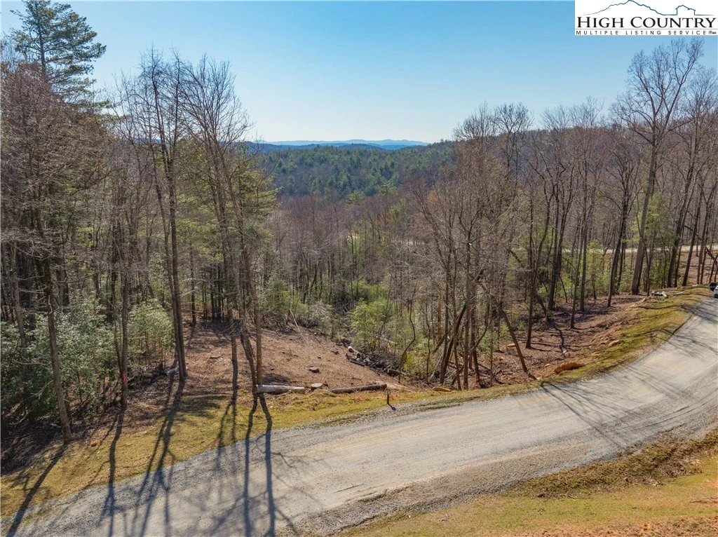 Image number 1 for the current listing
