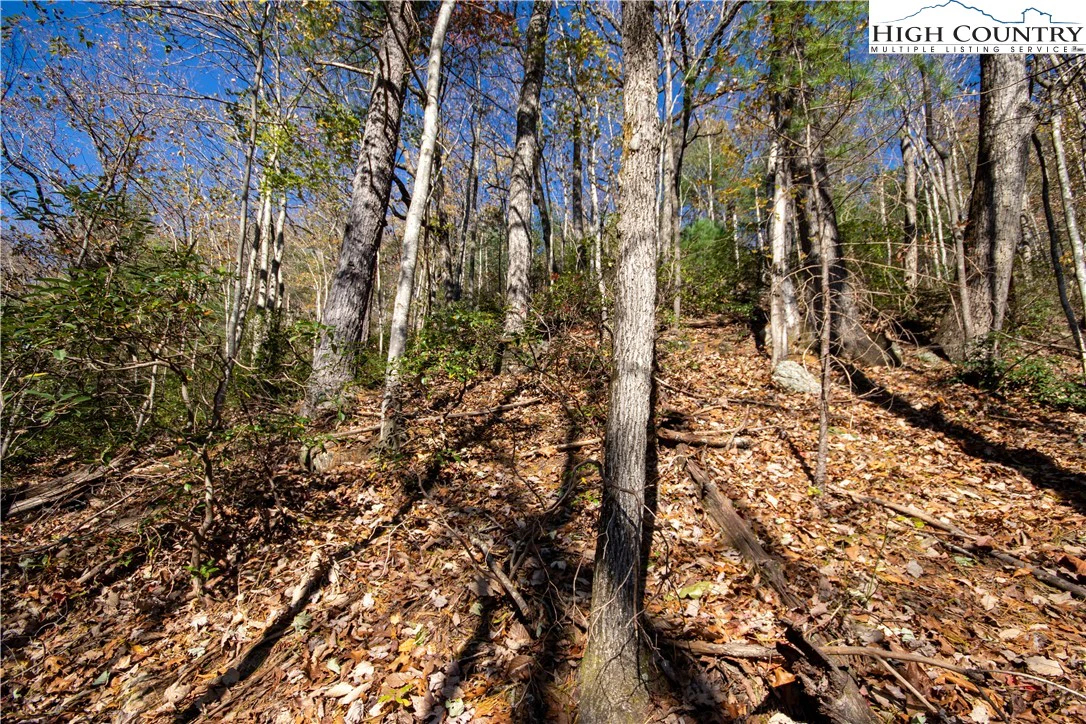Image number 3 for the current listing
