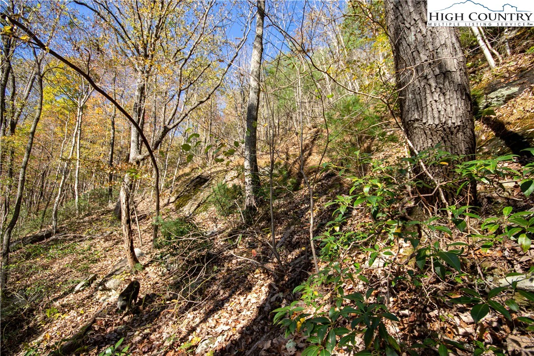 Image number 7 for the current listing