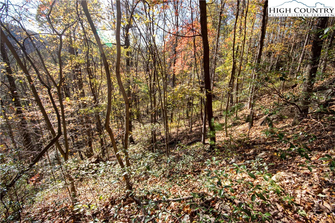 Image number 13 for the current listing