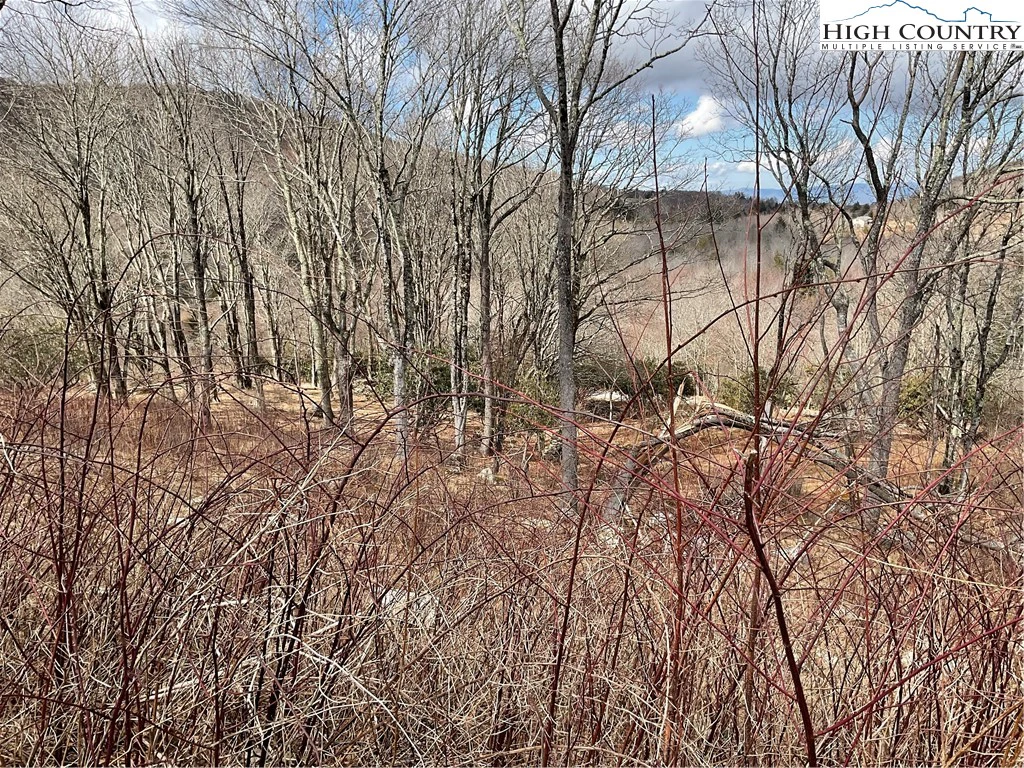 Image number 1 for the current listing