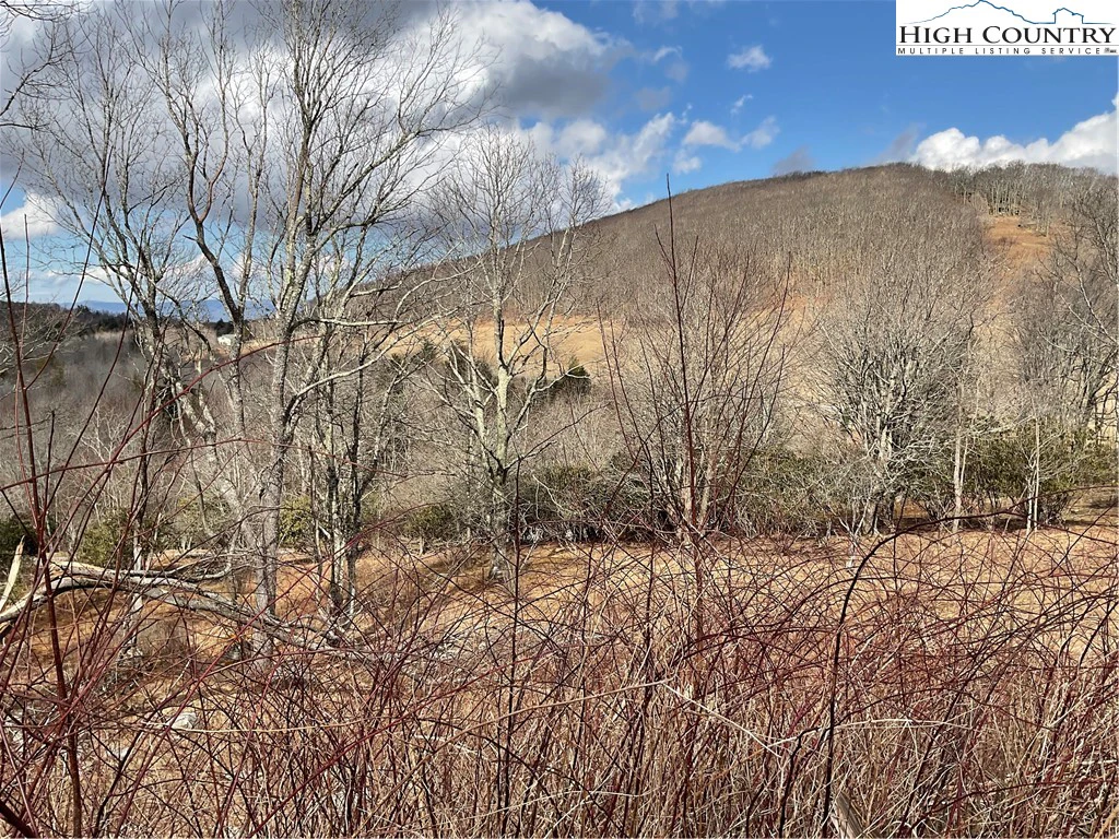 Image number 6 for the current listing