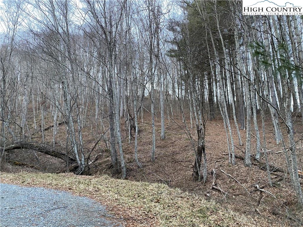 Image number 1 for the current listing