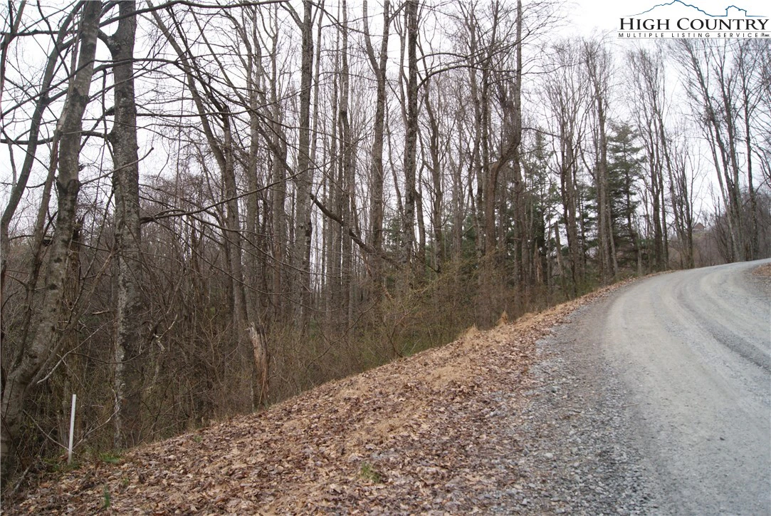 Image number 4 for the current listing