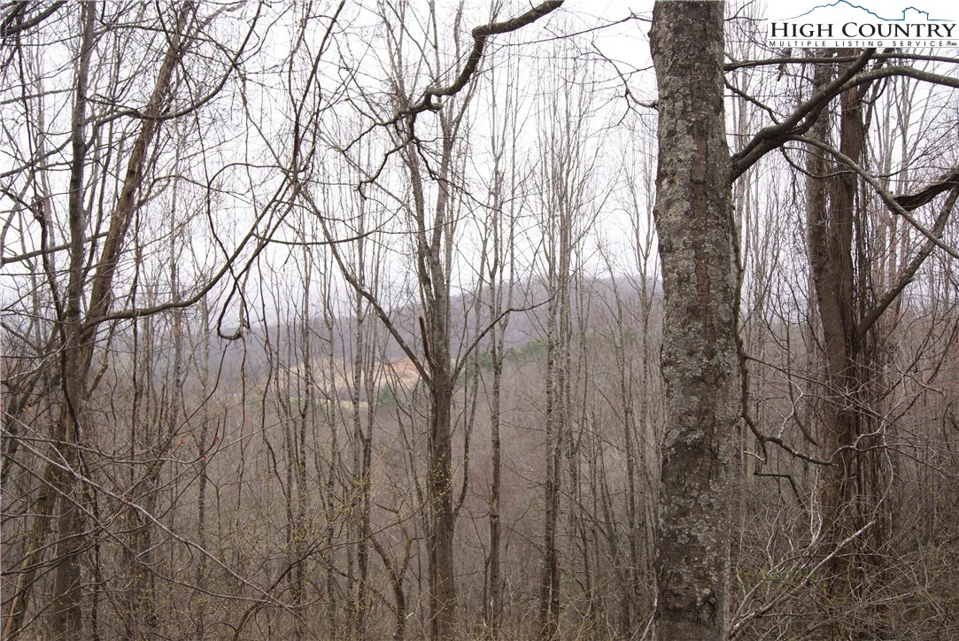 Image number 5 for the current listing