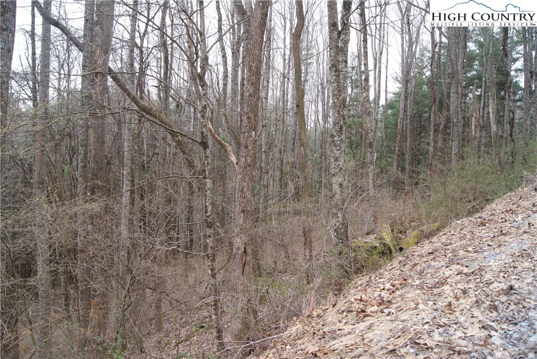 Image number 6 for the current listing