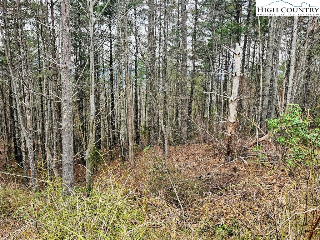 Image number 3 for the current listing