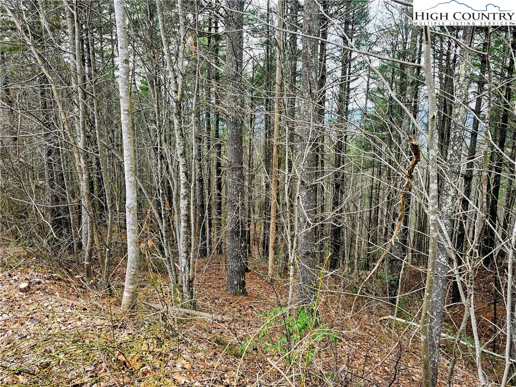 Image number 6 for the current listing