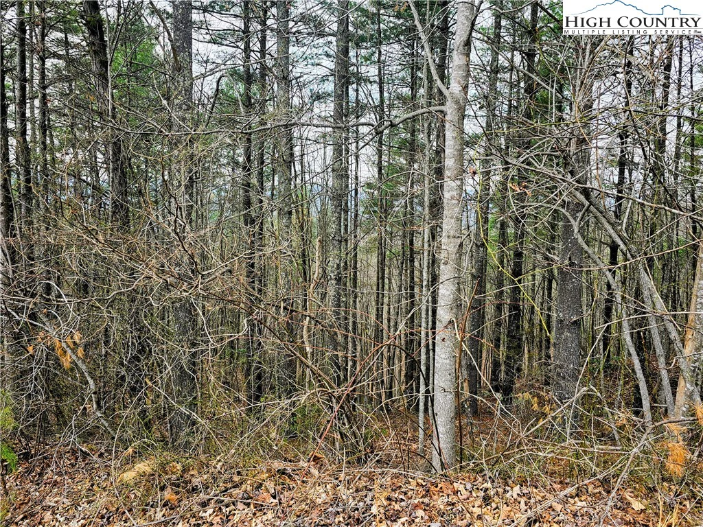 Image number 7 for the current listing