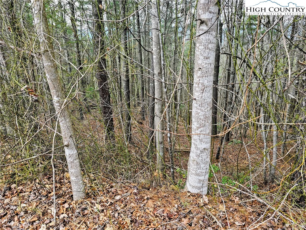Image number 9 for the current listing