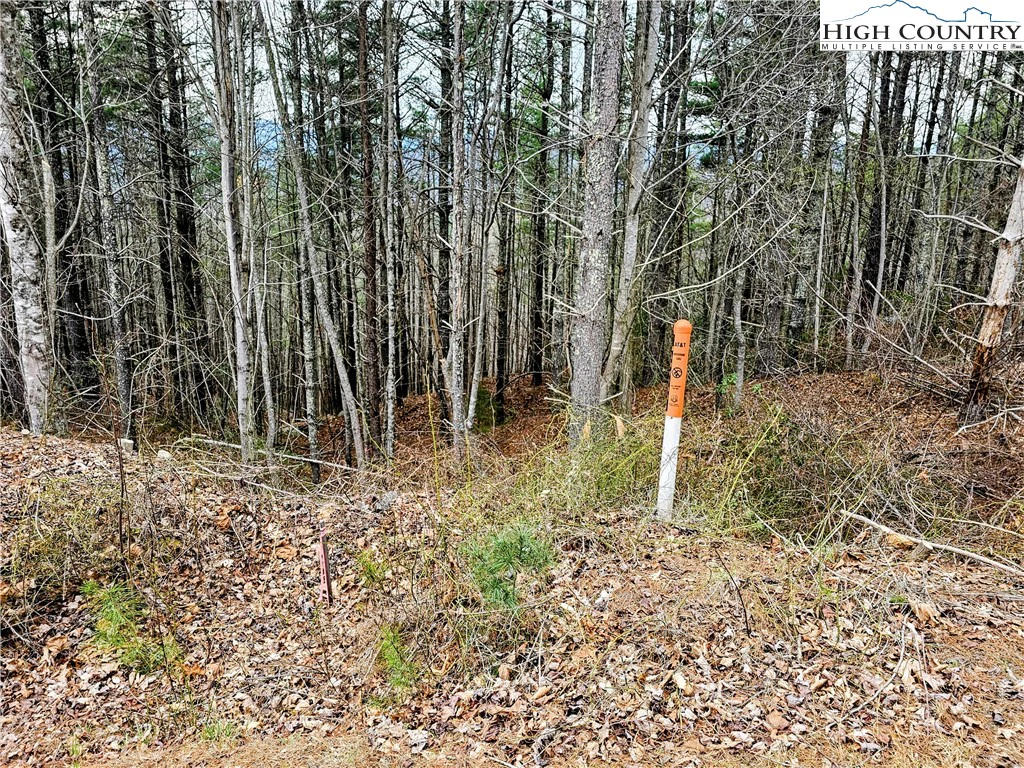 Image number 10 for the current listing