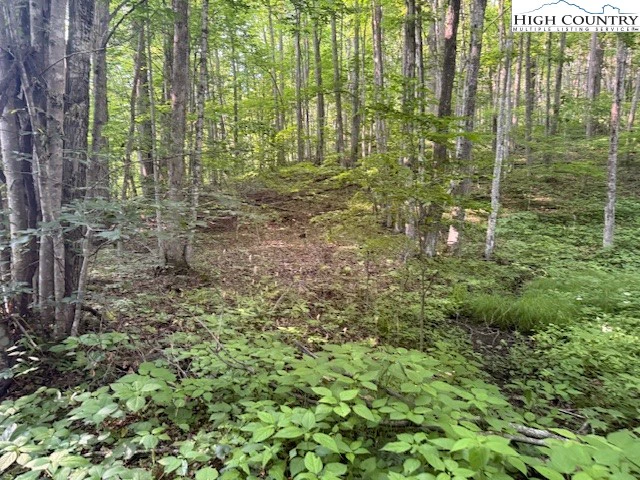 Image number 1 for the current listing