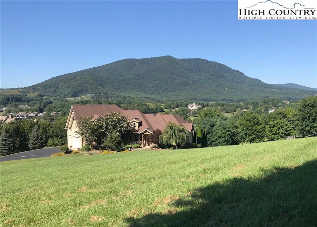 Image number 1 for the current listing