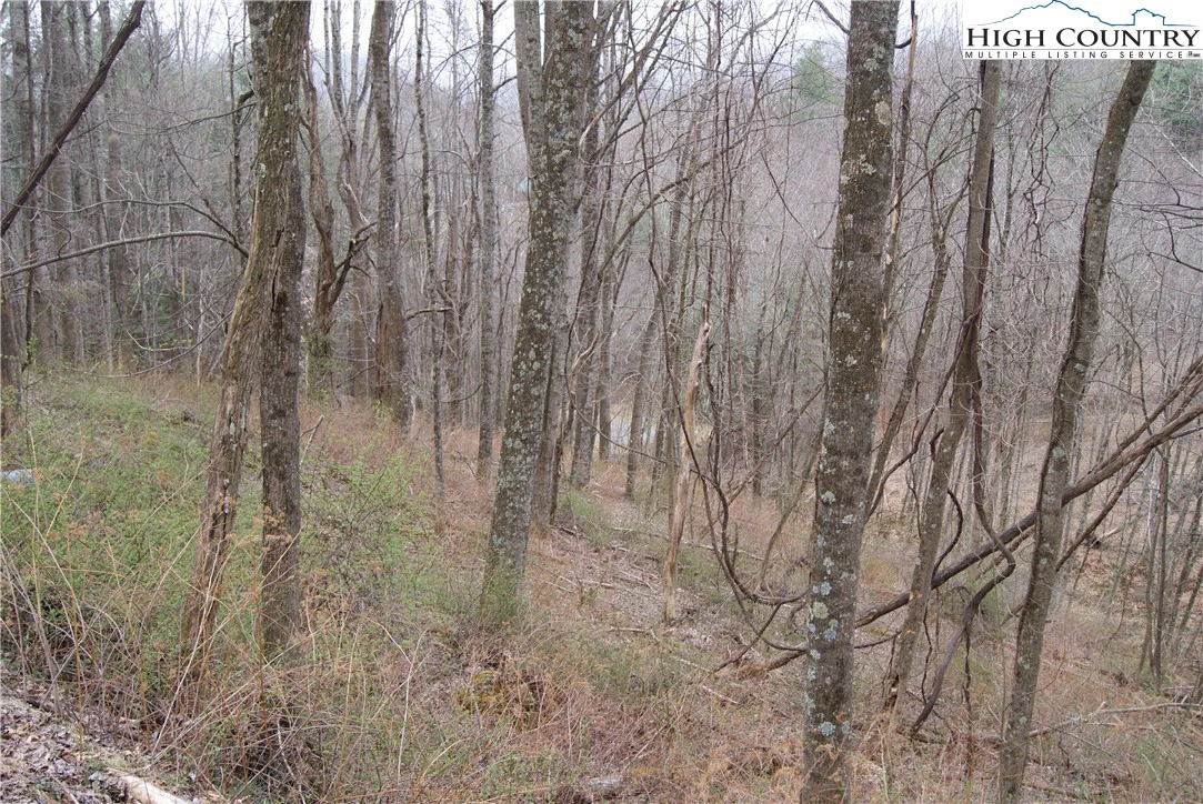 Image number 1 for the current listing