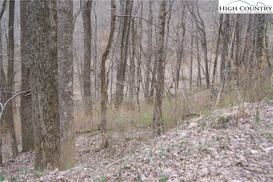 Image number 4 for the current listing