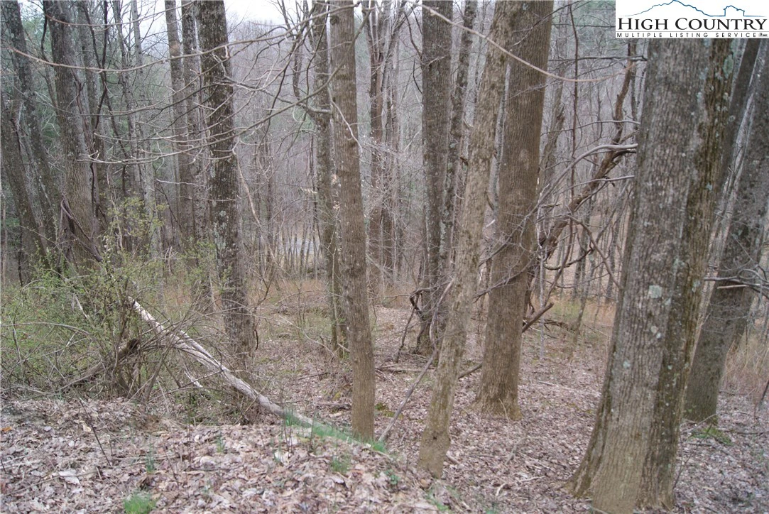Image number 5 for the current listing