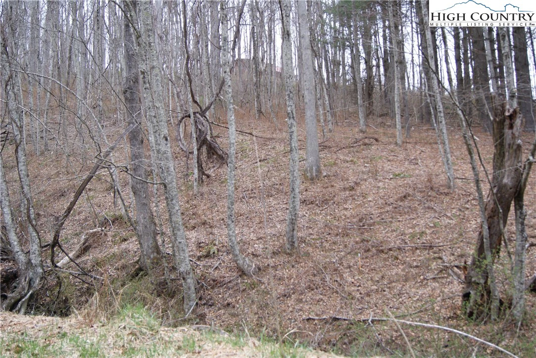 Image number 6 for the current listing