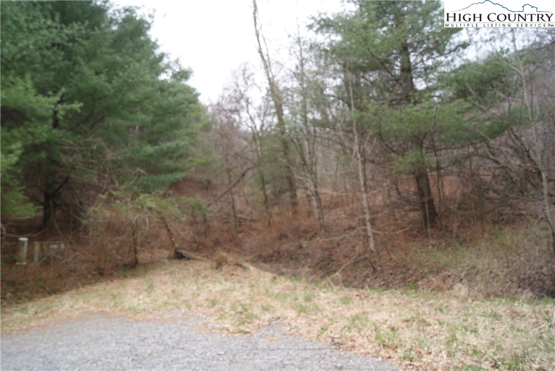 Image number 7 for the current listing