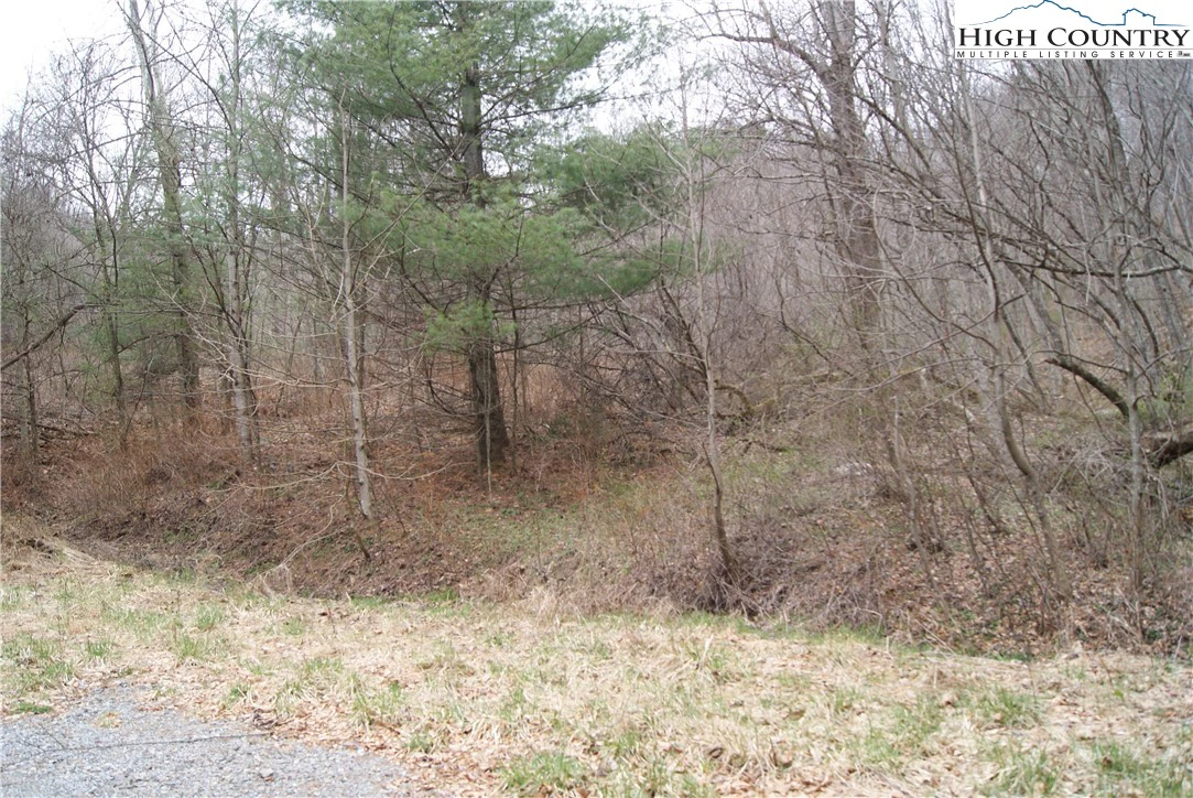 Image number 8 for the current listing