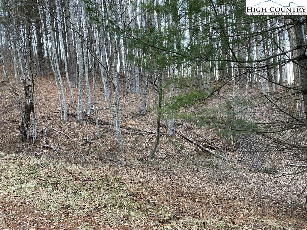 Image number 9 for the current listing