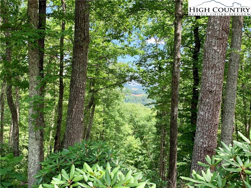 Image number 6 for the current listing