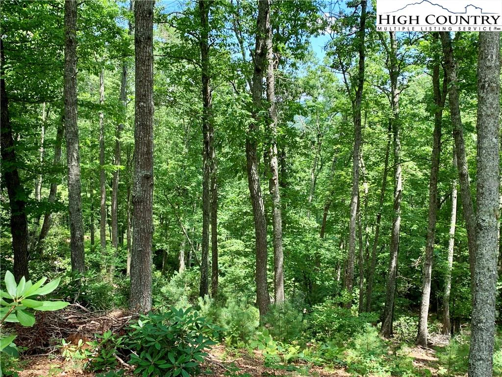 Image number 7 for the current listing