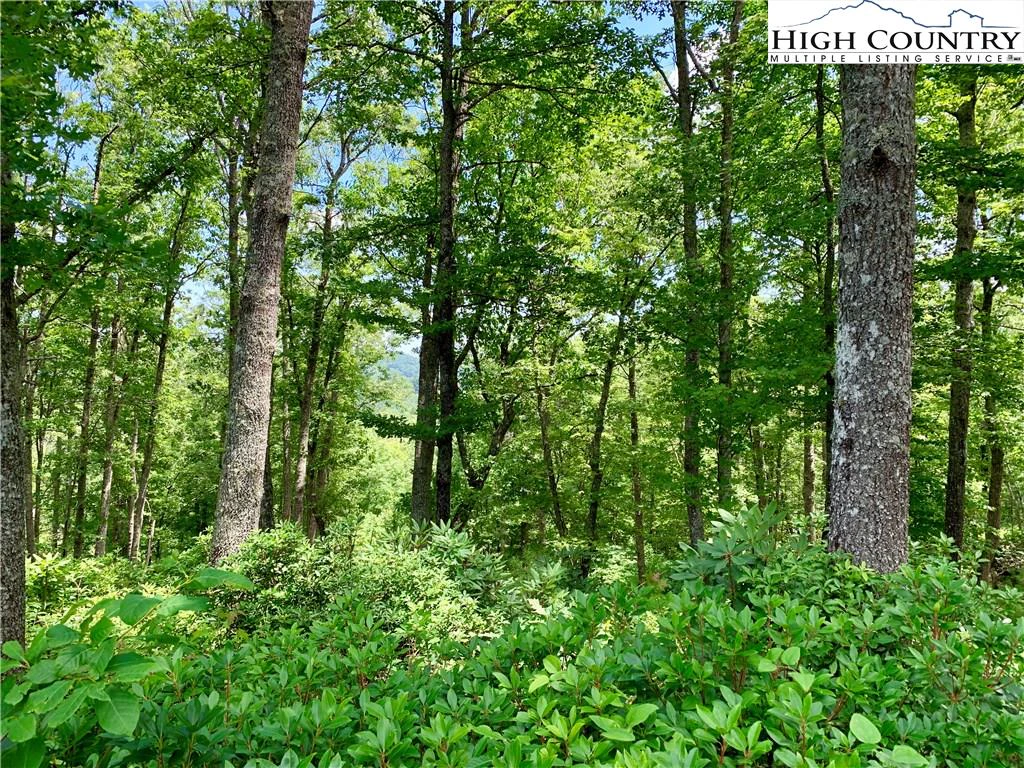 Image number 8 for the current listing