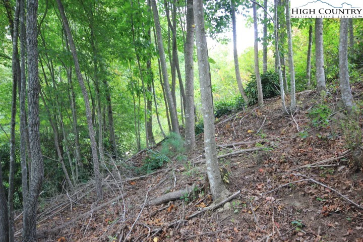 Image number 3 for the current listing