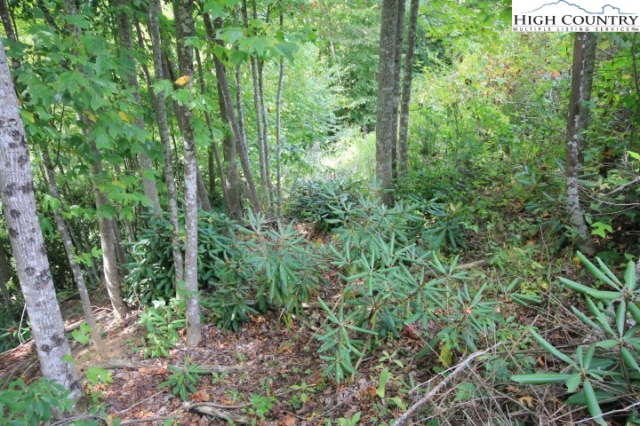 Image number 4 for the current listing