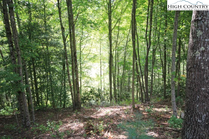 Image number 21 for the current listing