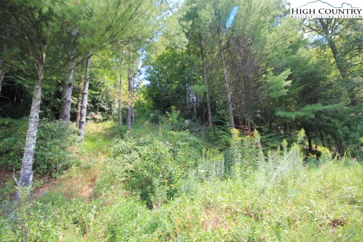 Image number 19 for the current listing
