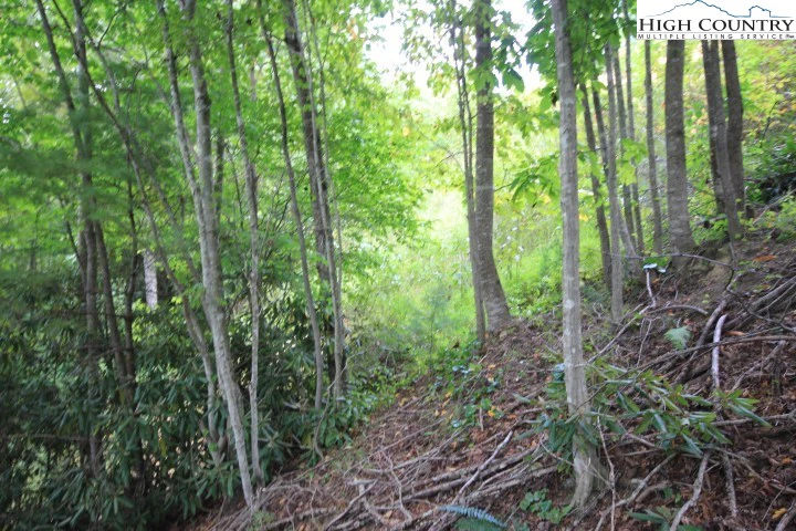 Image number 18 for the current listing