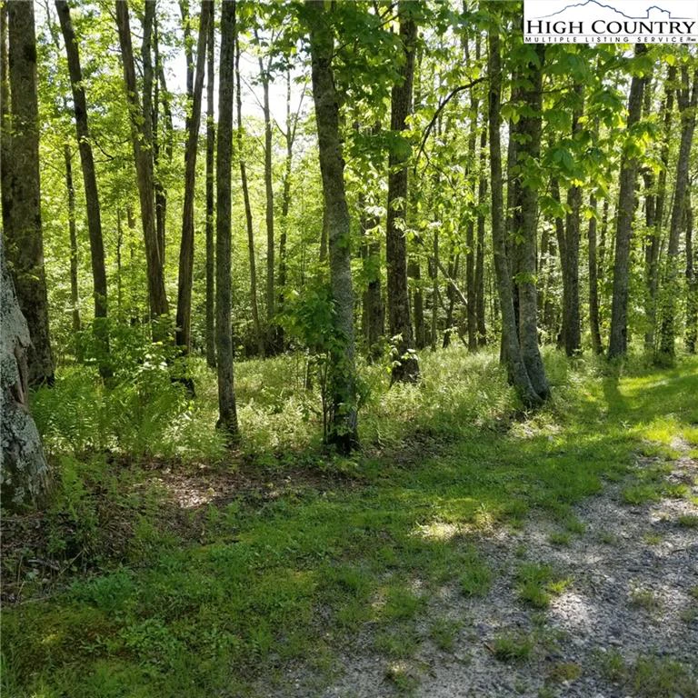 Image number 11 for the current listing