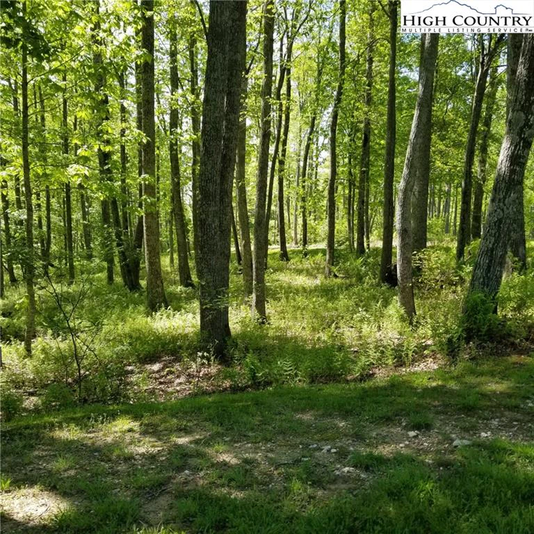 Image number 3 for the current listing